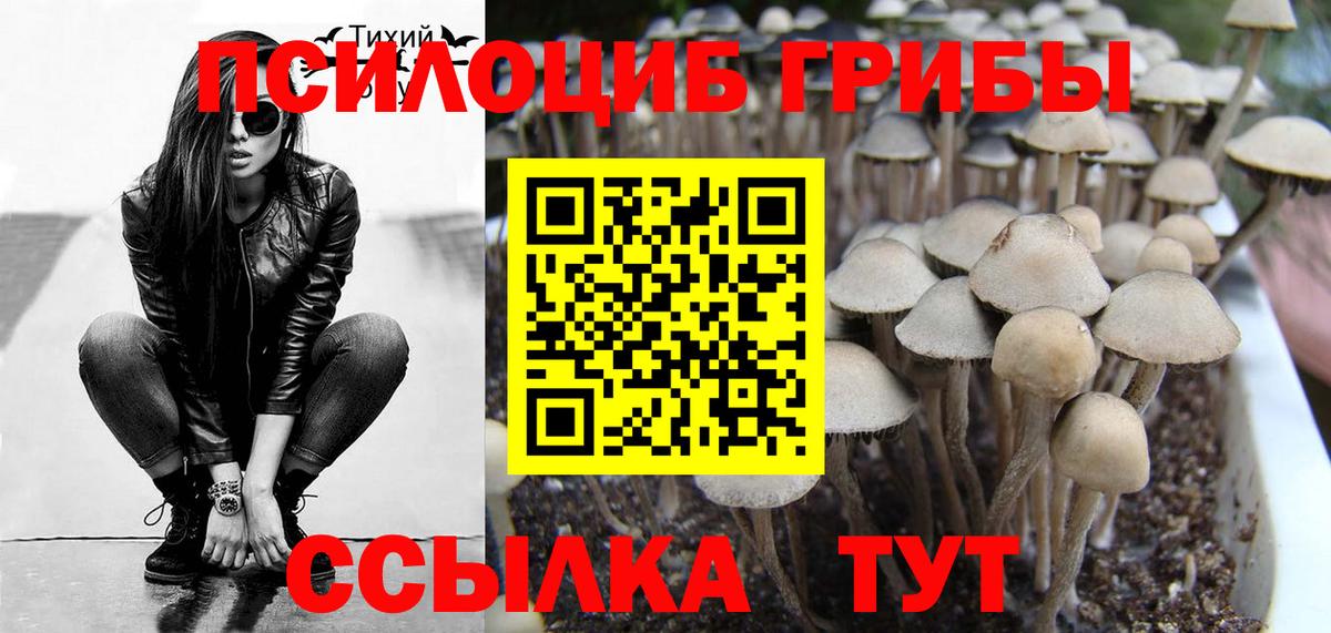 Галлюциногенные грибы мицелий  Вход с VPN  Псилоцибиновые грибы Cubensis  Нефтеюганск 