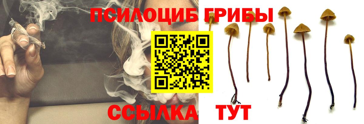 Галлюциногенные грибы GOLDEN TEACHER Нефтеюганск